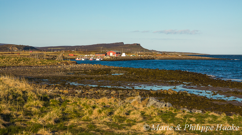 Nesseby 0928.jpg - Nesseby, Varanger (Norvège, juin 2012)